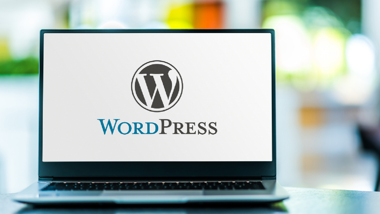 WordPress Website Cost India 2025